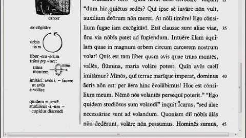 Lingua - 26.2 - Reading Tutorial