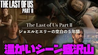 【ラスアス２】ジョエルとエリーの空白の五年間【PS4/The Last of Us Part II 】