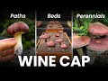 3 Ways to Grow EDIBLE Wine Cap Mushrooms in Your Garden | From Inoculation to Harvest!