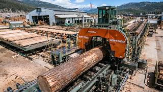 Inside the Largest Wood Sawmill Factory – How Plywood Is Made From Logs to Table (Full Process)