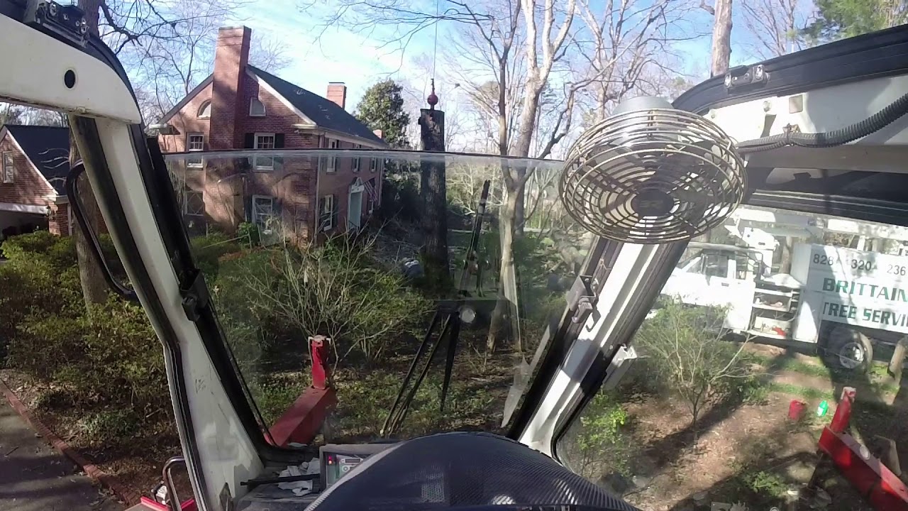 30 TON CRANE TREE REMOVAL - YouTube