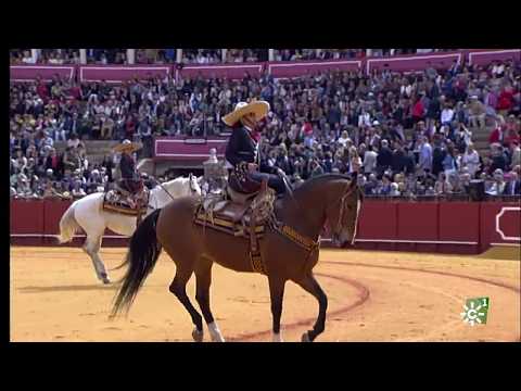 Vídeo: Descripció i fotos de l'Arena Plaza de Toros de la Maestranza (plaça de toros de la Real Maestranza) - Espanya: Sevilla