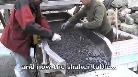 LFNG 2010-The Sorting Table*