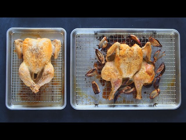 Where to Put a Thermometer in a Turkey 🍗 for Accurate Temperature