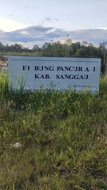 Pancur Aji Sanggau
