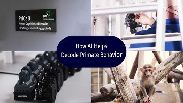Leibniz Science Campus: How AI Helps Decoding Primate Behavior