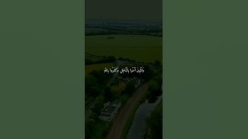 عبد الرحمن مسعد هدوء  سوره العنكبوت💙.! #religion #viral #القرآن_الكريم #عبدالرحمن_مسعد #foryou