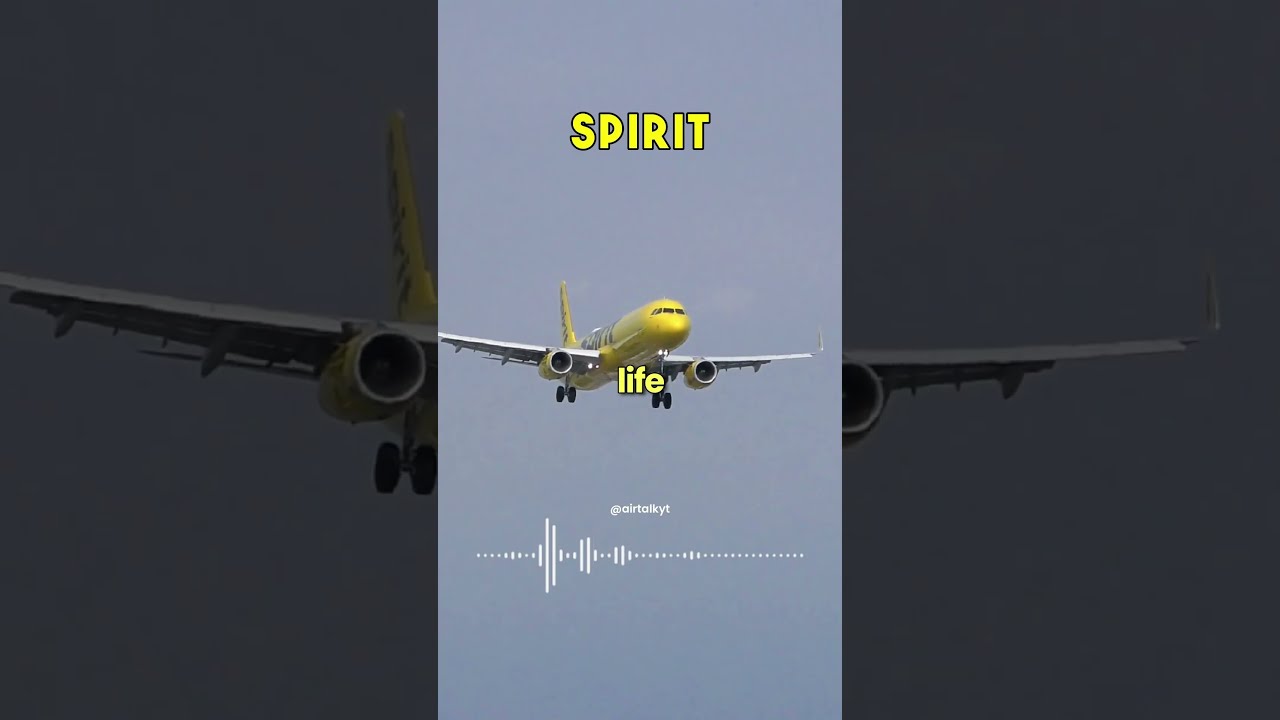 SPIRIT Fought For A MOTHER S LIFE 