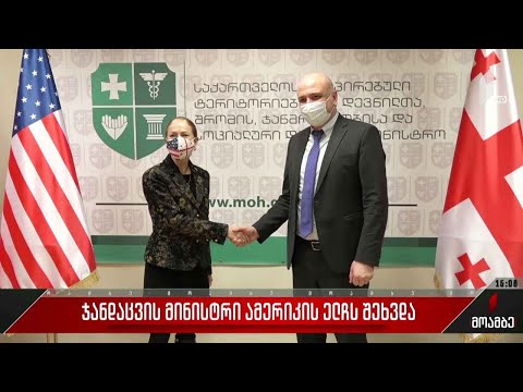 ჯანდაცვის მინისტრი ამერიკის ელჩს შეხვდა