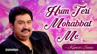 Miniatura del video "Hum Teri Mohabbat Mein | Phool Aur Angaar | Mithun Chakraborty | Kumar Sanu & Sadhana Sargam Hits"