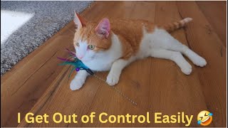 Cat gets Out of Control by Seeing His Hoomans 🤣 Funny Cat Videos will Make you Laugh😂Watch Full by Namira Taneem 🇨🇦 405 views 1 month ago 22 minutes