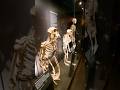 London 🇬🇧- II Real skeleton at Natural History Museum #viralshorts