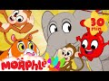 Morphle in the Jungle - Mila and Morphle | Cartoons for Kids | @Morphle TV