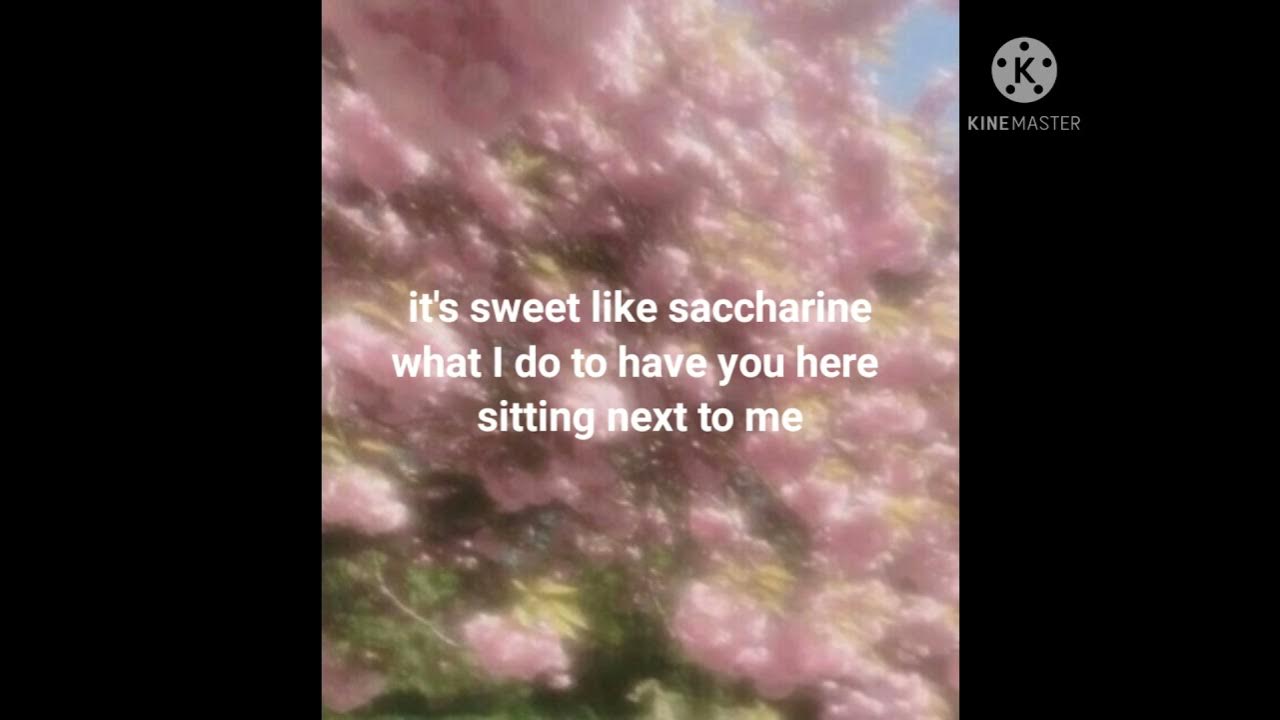 jazmin bean 𝘀𝗮𝗰𝗰𝗵𝗮𝗿𝗶𝗻𝗲 (lyrics) YouTube