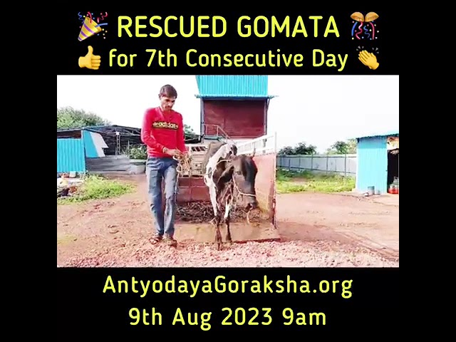 09 Aug 2023 - Seventh Rescue!!