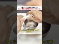 「家のゴミが最強の燃料に!?」 コスパ最強の自作着火剤がすごすぎる! #DIYライフ #キャンプ用品 #エコアイデア #再利用術 #自作プロジェクト