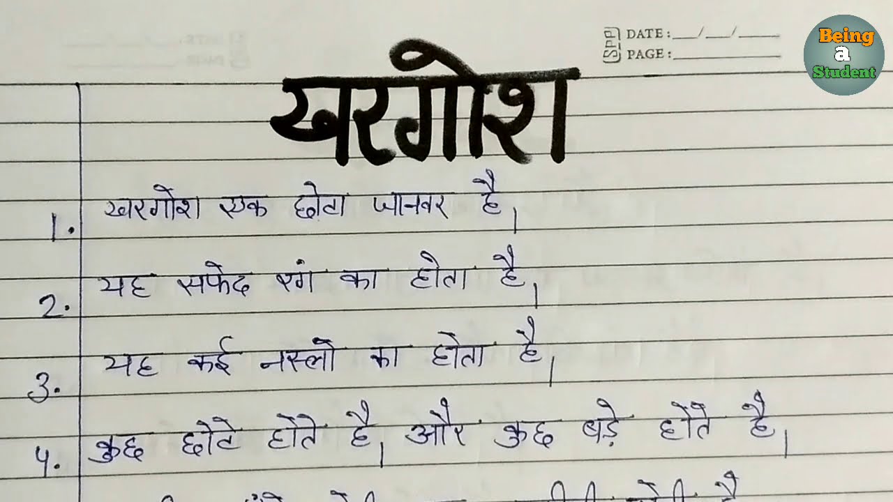 essay rabbit in hindi