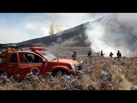 Kebakaran di Bukit Teletubbies Gunung Bromo, Puluhan Hektar Lahan Hangus