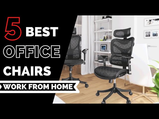 Ergonomic Chair With Adaptive Lumbar Support – ErGear