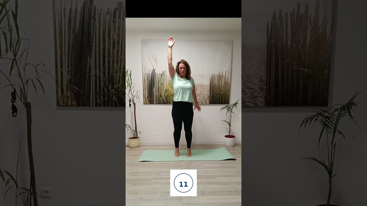 Equiflow - Spine Reset für ReiterInnen - 5 Minuten für deinen Rücken vor dem Reiten