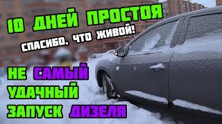 КАК ЗАВОДИТСЯ ДИЗЕЛЬ зимой после 10 дней простоя | На примере Renault Megane III 1.5 dci