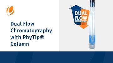 Dual Flow Chromatography with PhyTip® Column