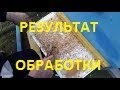 Итог обработки от клеща.