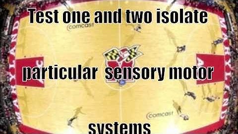 knes 370 sensorimotor system