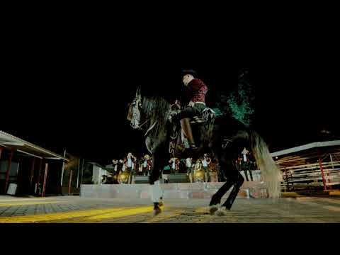 Banda Carnaval - El Pistolero