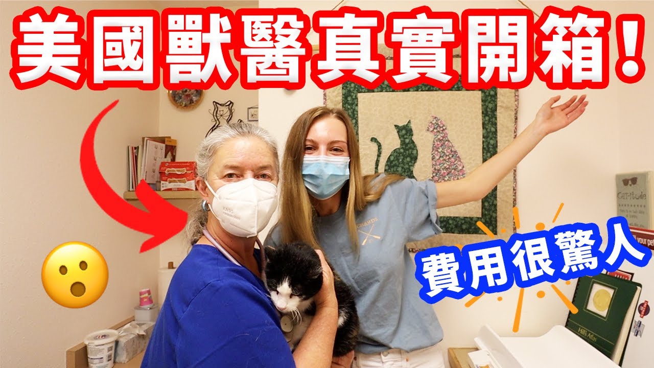 【美國獸醫比台灣醫療貴好幾倍？】參觀獸醫診所+胖貓歷險記｜美國生活VLOG