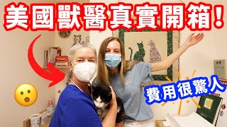 【美國獸醫比台灣醫療貴好幾倍】參觀獸醫診所+胖貓歷險記美國生活VLOG