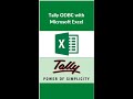 Tally ODBC with Microsoft Excel