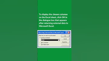 Tally ODBC with Microsoft Excel