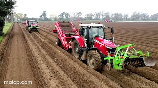 4k Foskett Farms  9 tractors planting potatoes in Suffolk. Massey Ferguson  Valtra  Grimme