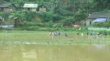 Mưa lớn kéo dài tại Lào Cai gây thiệt hại trên 14 tỷ đồng