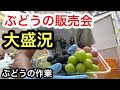 「ぶどうの作業」商業施設で販売会！大盛況で完売しました！