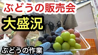 「ぶどうの作業」商業施設で販売会！大盛況で完売しました！