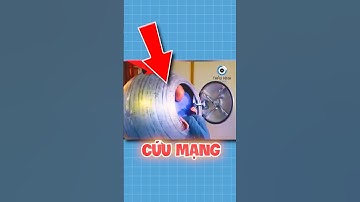 KÉN SINH TỒN CÓ THỂ CỨU MẠNG BẠN | 😨 (Bạn Biết Không) #facts #amazingfacts