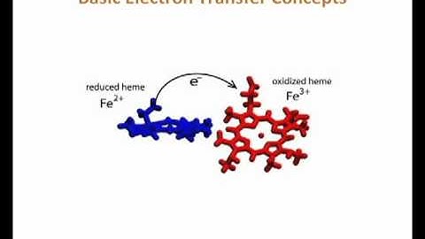 Molecular structure and electron transfer in microbial cytochromes by Kevin Rosso