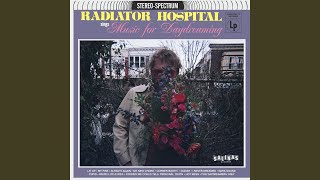 Miniatura de vídeo de "Radiator Hospital - Corner Booth"