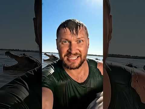 Факты о крокодилах: Смотри мой крутой плейлист! 🐊 #крокодилы