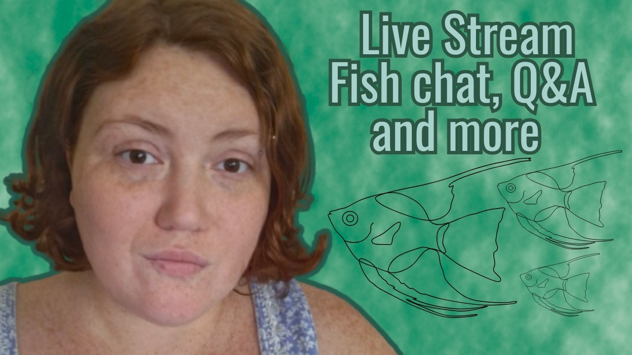 In The Fish Haven with Cece Season 3 Episode 2