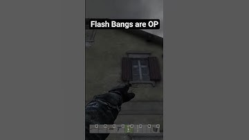 How Effective Are Flashbangs In DayZ?