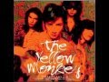 【演奏してみた】THE YELLOW MONKEY 「LOVERS ON BACKSTREET」【ベース】