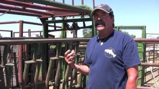 Cattle Handling Equipment (part 1) - Cos