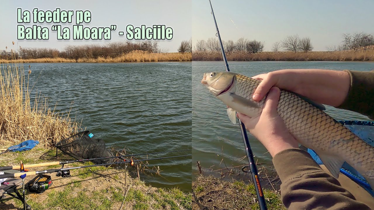 Pescuit la method feeder pe o balta cu retinere...Balta 