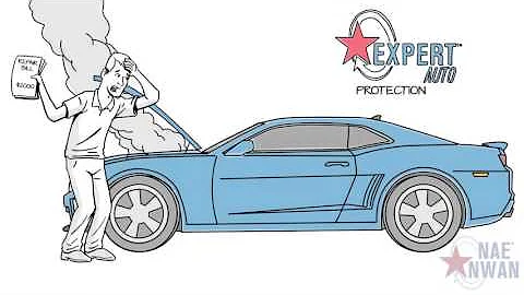 Expert Auto - Service Contracts