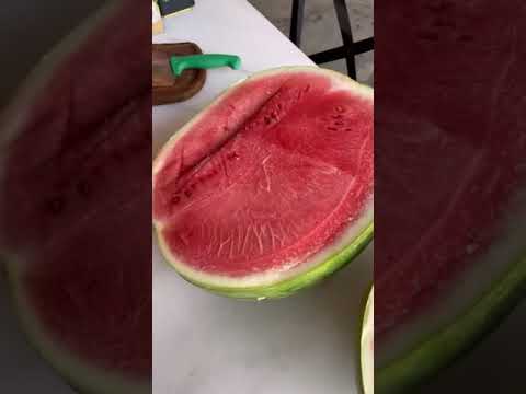 حبحب
