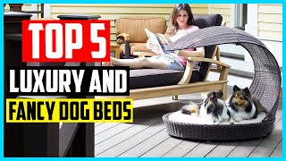 ✅ The 5 Best Luxury and Fancy Dog Beds in 2024