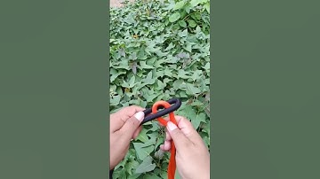 "Everyone Can Do this Knot!" #diy #knot #shorts